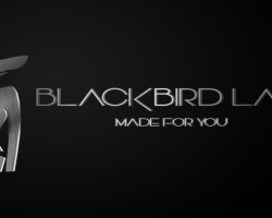 blackbirdlace